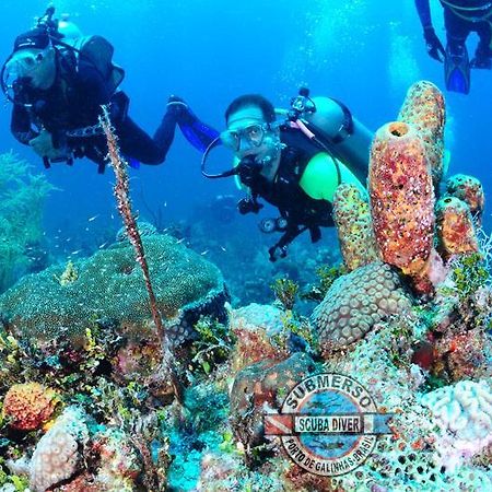 Pousada Porto Vitoria Pôrto das Galinhas Εξωτερικό φωτογραφία